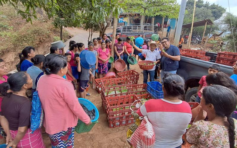 Una oportunidad para alimentar mejor a la familia