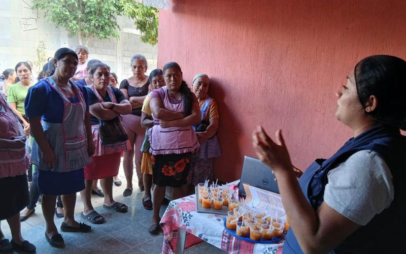 Aprenden técnicas de transformación de piña y zanahoria 