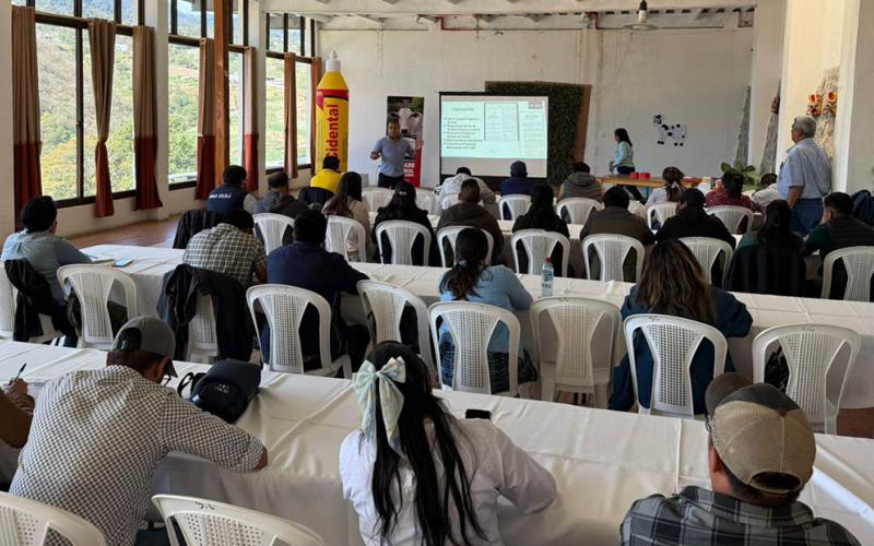 Capacitan a productores en Sololá para prevenir y controlar el Gusano Barrenador 