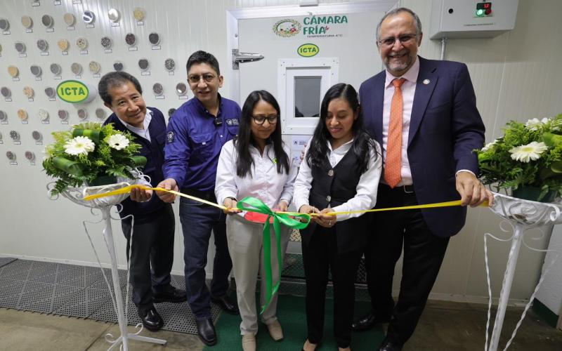 Guatemala fortalece el resguardo de sus semillas con nueva cámara fría en el ICTA