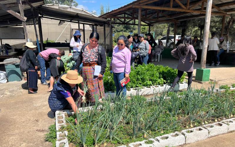 Entre huertos y corrales, técnicos rurales aprenden haciendo en Villa Nueva