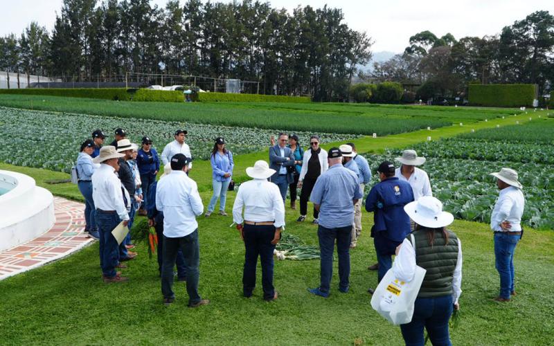 Destacan el valor de proteger variedades vegetales para impulsar la agricultura nacional