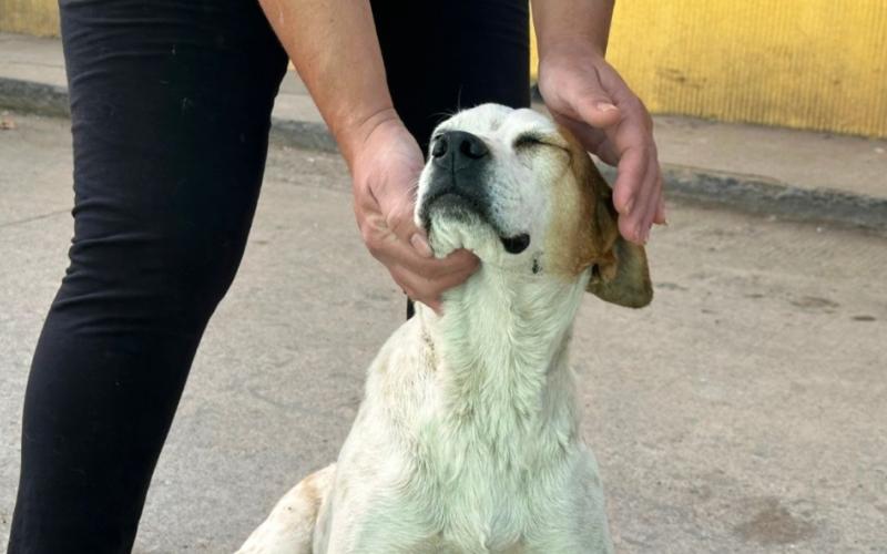 El compromiso empieza en casa