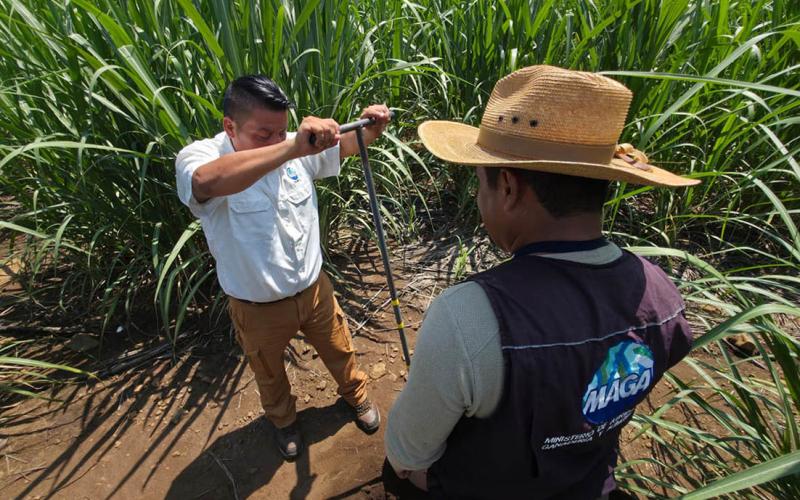 Avanza levantamiento de muestras de suelo en Escuintla