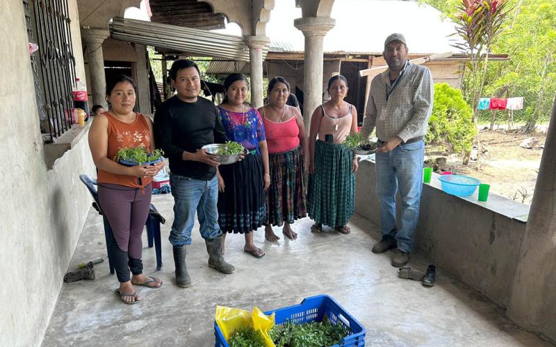 Beneficiadas a 62 familias con entrega de pilones en San Luis