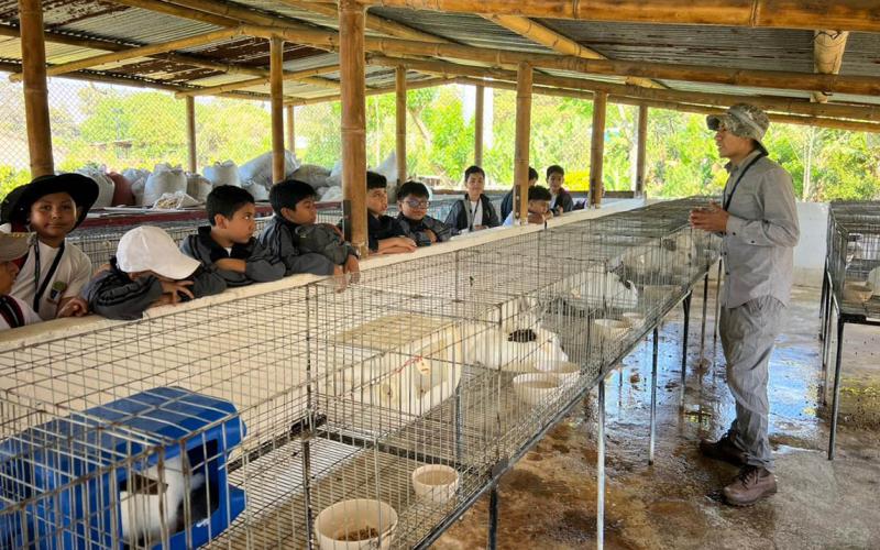 Estudiantes aprenden de agricultura y alimentación