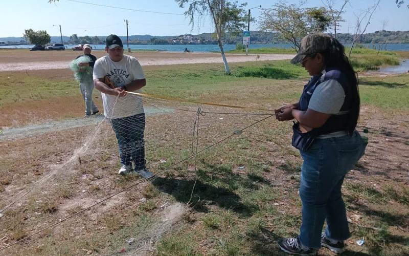 Decomisan 14 trasmallos en operativo en el Lago Petén Itzá