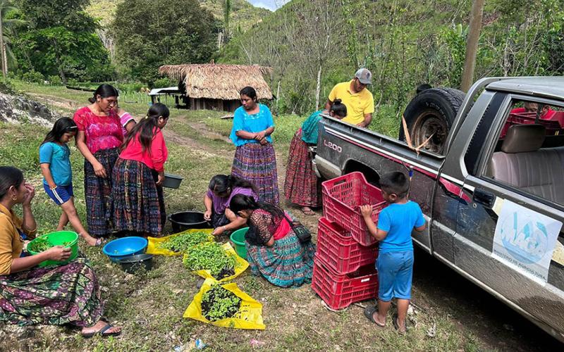 Entrega de pilones fortalece la producción agrícola petenera