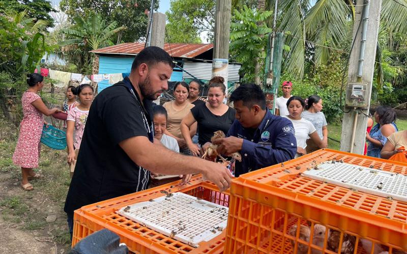 Entregan aves mejoradas a mujeres en Petén