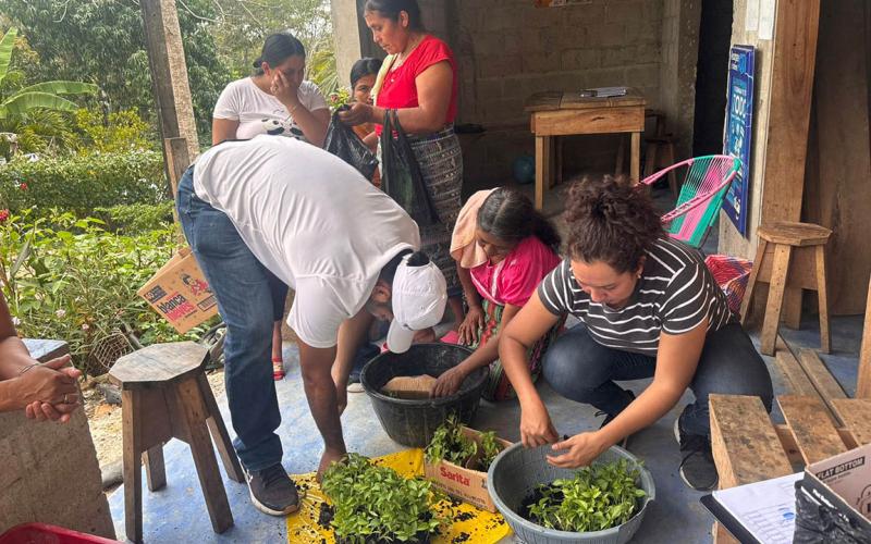 Entregan pilones de chile a grupos CADER de San Luis