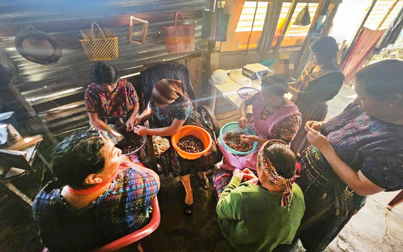 Familias de Almolonga transforman saberes en nutrición y oportunidades