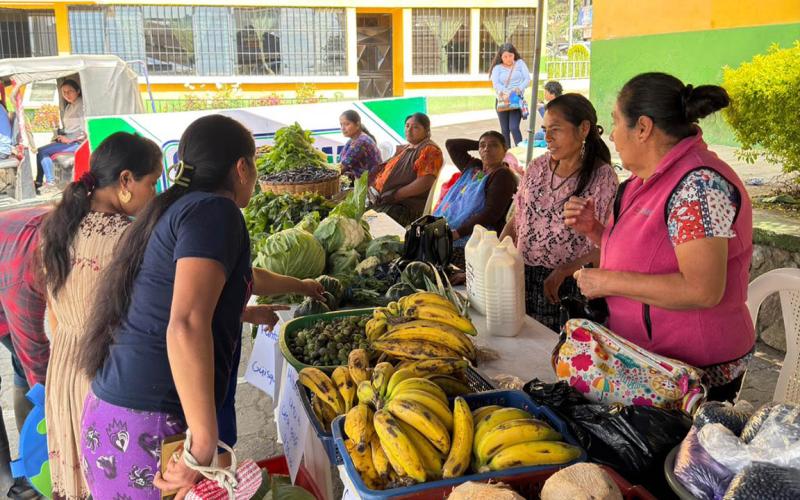 Colores y frescura: Feria del Agricultor de Alta Verapaz celebra la abundancia de la agricultura