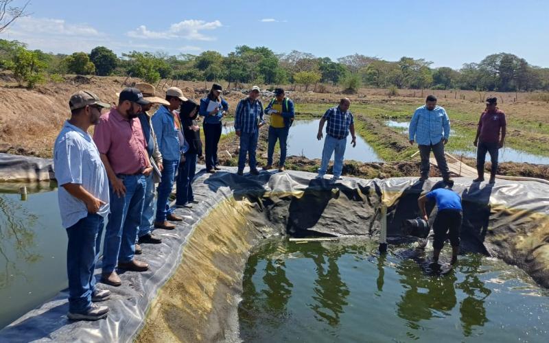 Acuicultura se perfila como alternativa productiva para familias del corredor seco