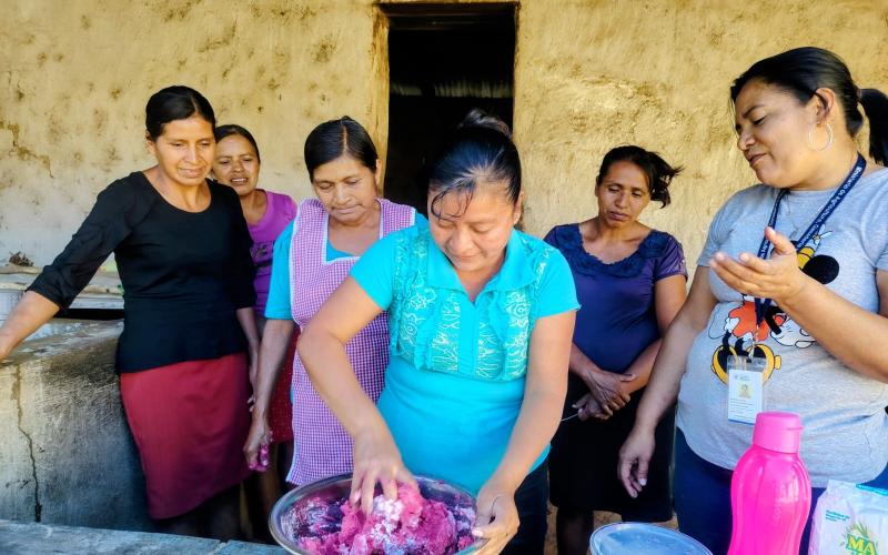 Fortalecen la economía y salud de familias en Comapa y Jalpatagua