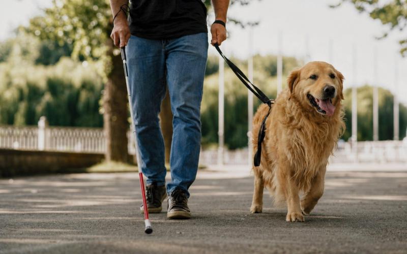 Guían con amor, lealtad y valentía
