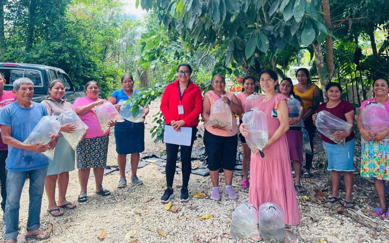 Impulsan acuicultura en Petén con entrega de más de 39 mil alevines