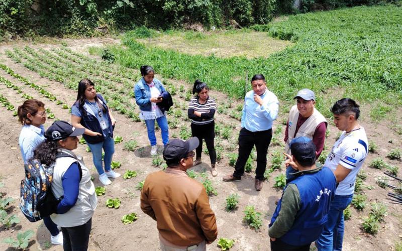 Impulsan huerto municipal para combatir la desnutrición aguda en San Marcos