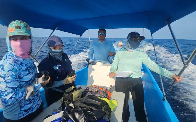 Impulsan investigación de megafauna marina en el Pacífico guatemalteco