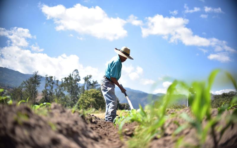 Incrementa el calor y disminuyen las lluvias
