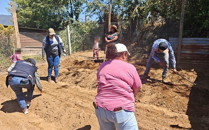 Los huertos que transforman hogares