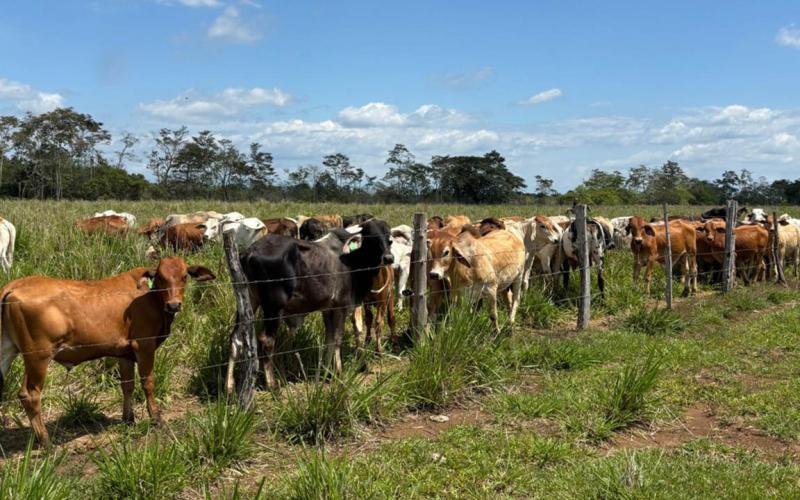 Monitorean 113 municipios ante el impacto de altas temperaturas 