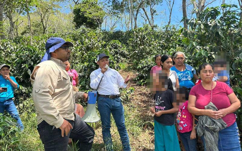 Optimizan el manejo técnico y la innovación en cultivos de café en Chiquimula
