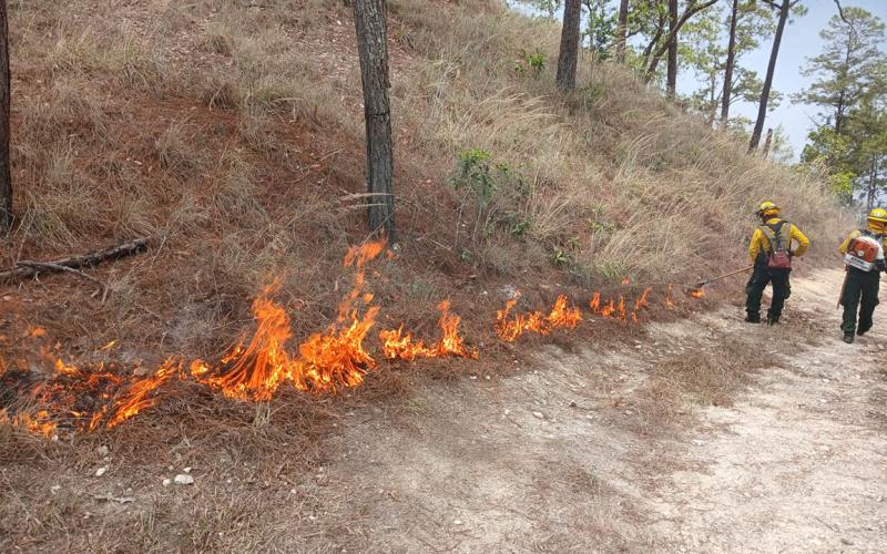 Protegen áreas boscosas de Zacapa ante incendios forestales