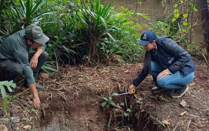 Proyectos comunitarios mejoran la alimentación y generan ingresos familiares