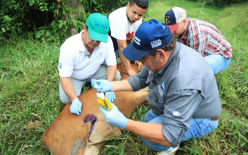 Reconociendo a quienes dedican su vida al cuidado animal