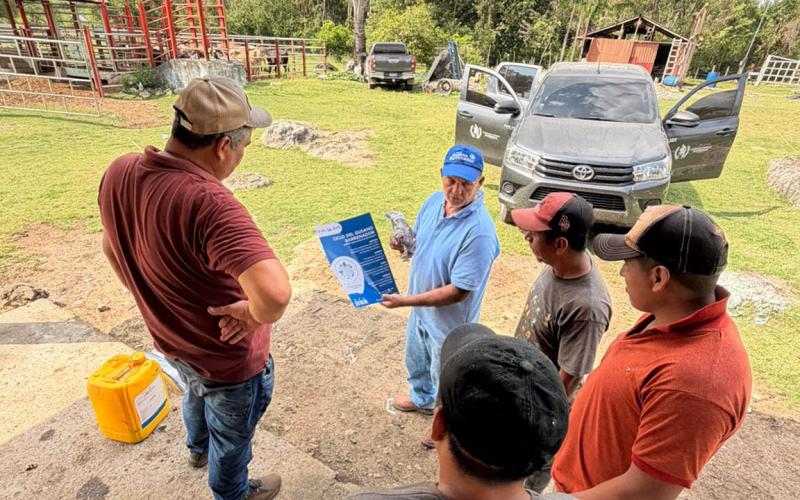 Refuerzan control sanitario tras inspección de animales en Petén