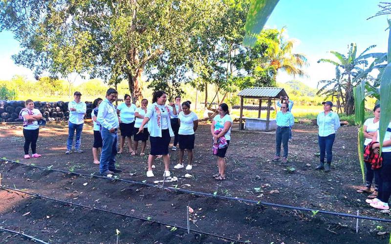 Verifican avances de modelo de captación de agua