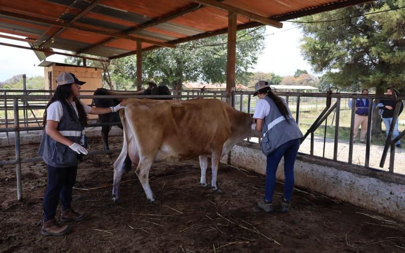 Verifican bienestar de animales en granja experimental de la USAC