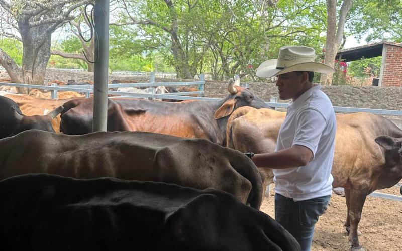 Atienden 267 reses en jornada sanitaria