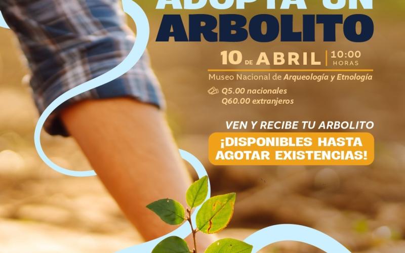 Adopta un arbolito