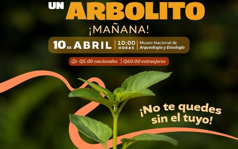 Te esperamos en el Museo Nacional de Arqueología y Etnología para que adoptes un un arbolito