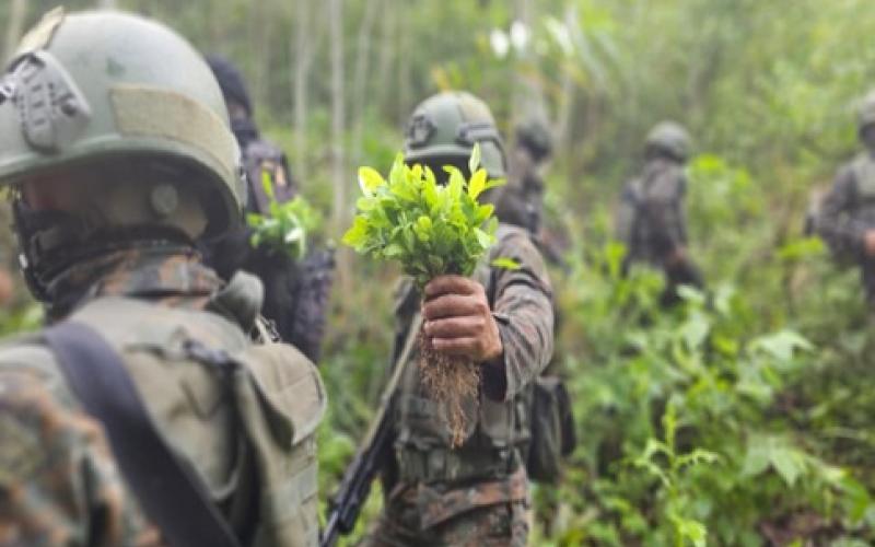 Ejército de Guatemala intensifica acciones contra el narcotráfico en Petén.