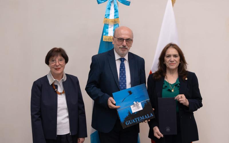 nota de prensa