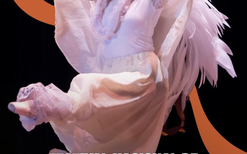 Festival Nacional de Danza y Movimiento