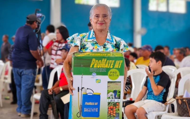 Bombas de fumigación 