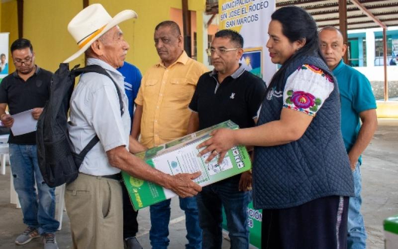 Bombas de fumigación 