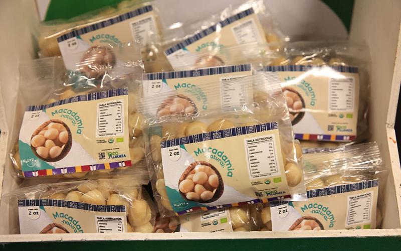 Guatemala proyecta crecimiento de la macadamia y consolida liderazgo regional