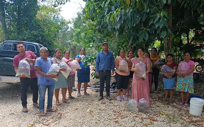 Entrega de alevines fortalece la producción acuícola en Santa Ana