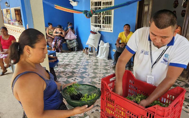 Entregan pilones de chile en San Luis