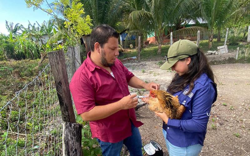 Jornada de vacunación aviar en San Andrés