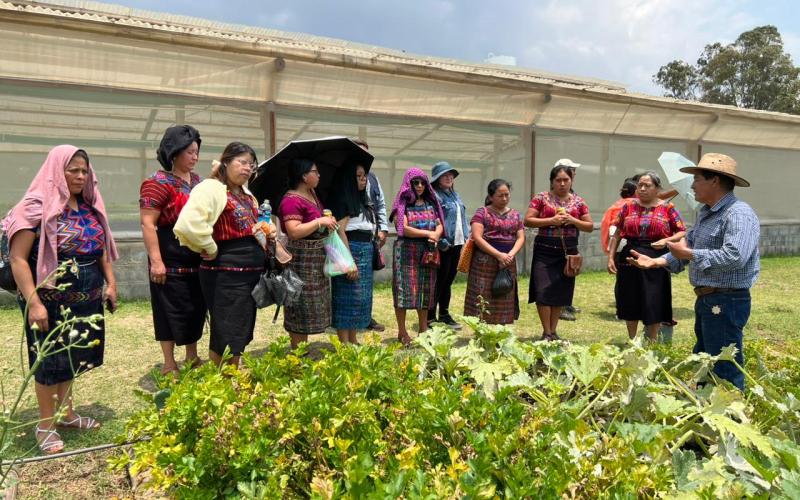 Mujeres de Xenacoj aprenden de huertos familiares y otros sistemas de producción