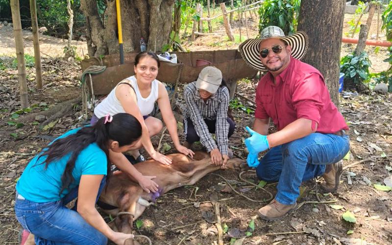 Refuerzan vigilancia epidemiológica para prevenir el Gusano Barrenador