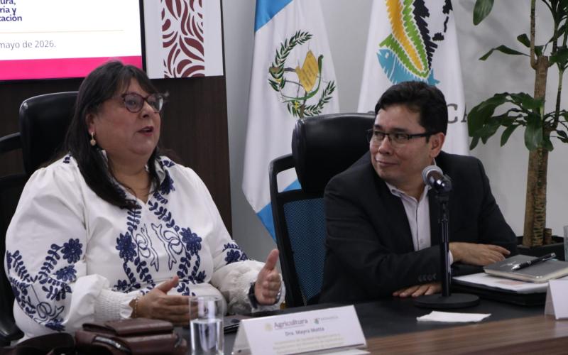 Guatemala y México coordinan acciones de control del Gusano Barrenador