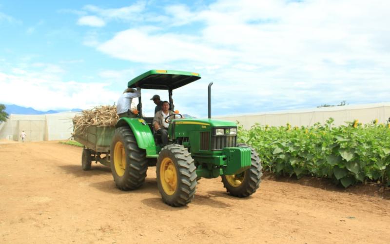 Aprobada la Política Sectorial Agropecuaria 2026-2032 para transformar el campo