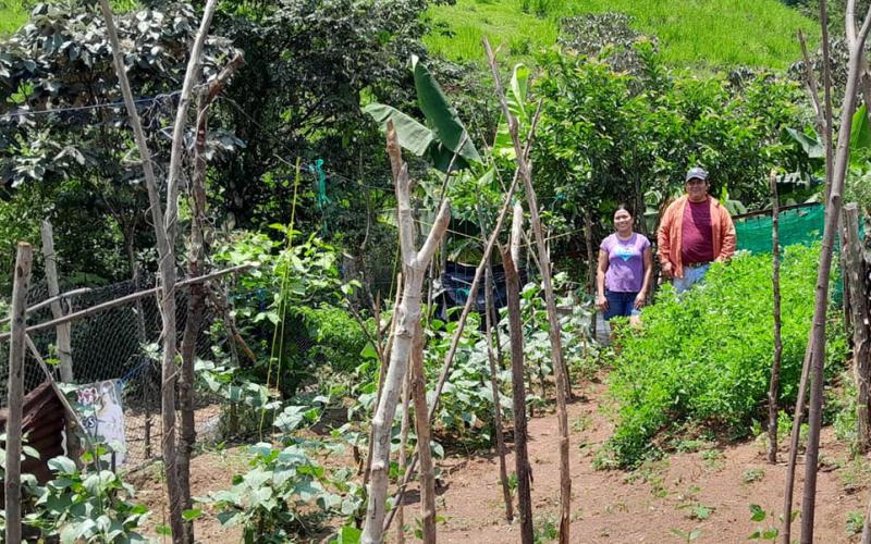 Asistencia técnica en campo fortalece huertos familiares