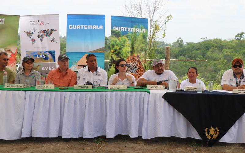 Biosfera Maya un refugio de aves migratorias